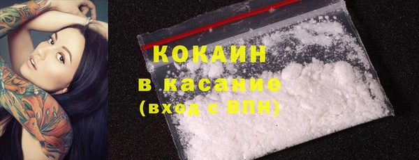 индика Майский