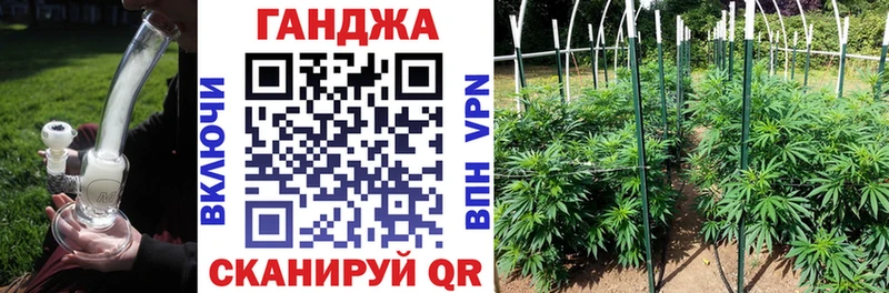 Каннабис план  купить  сайты  Тейково 